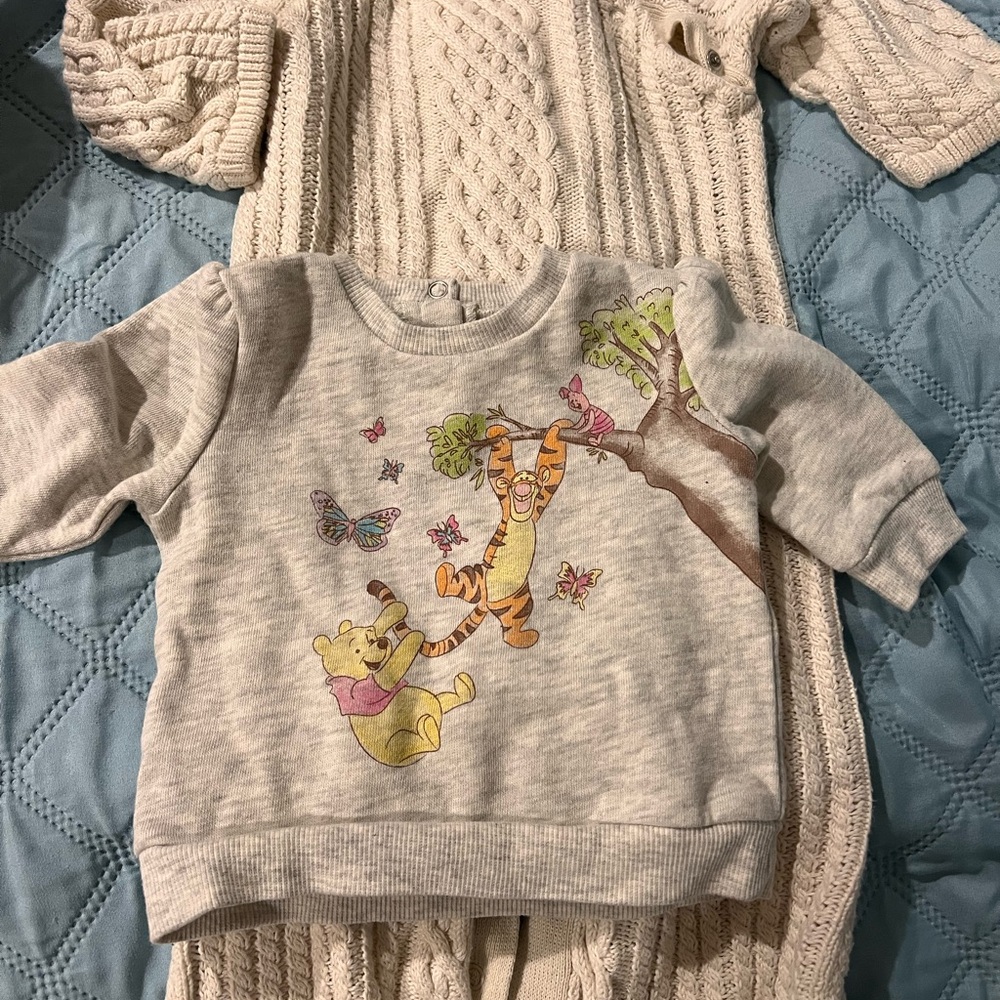 Disney Gray Sweatshirt with Embroidered Details